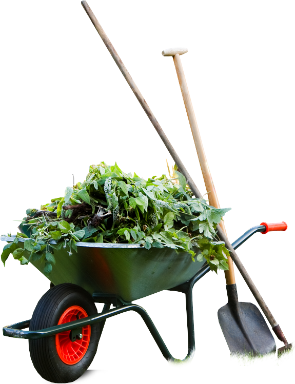 Schrabauer | Garten- und Landschaftsbau